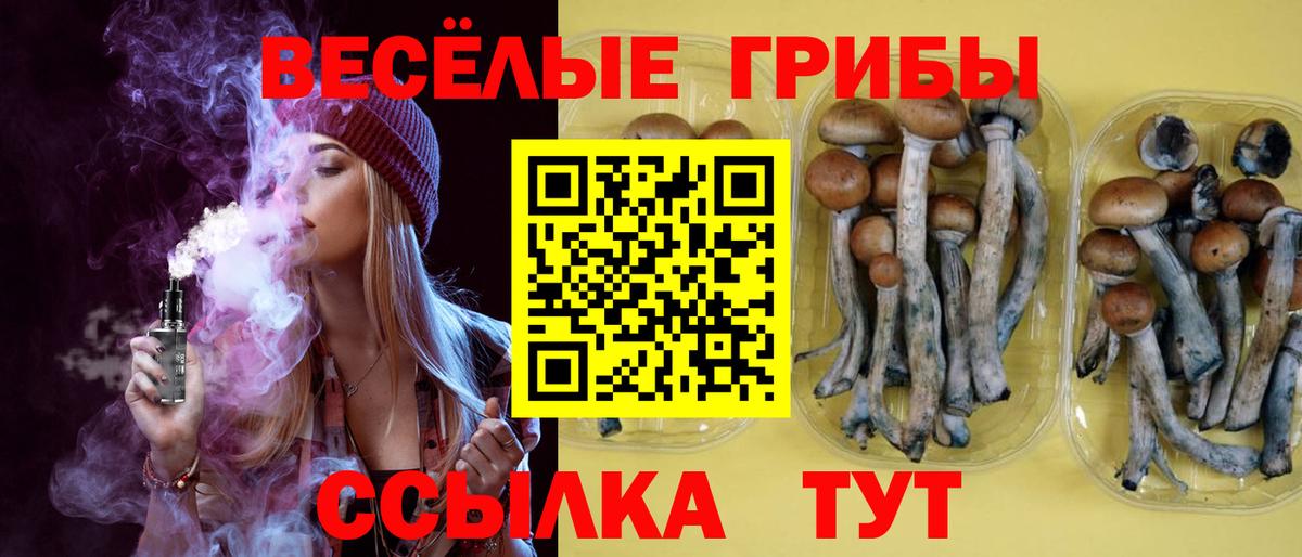 Галлюциногенные грибы GOLDEN TEACHER Нижнеудинск