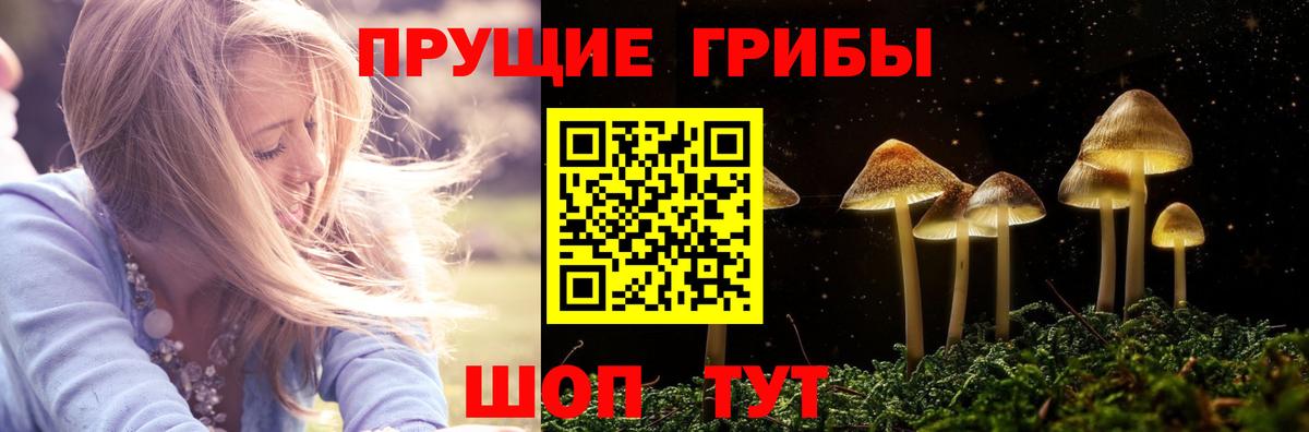 Нижнеудинск  Галлюциногенные грибы Psilocybe  Вход с VPN 